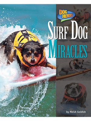 Surf Dog Miracles - ebook